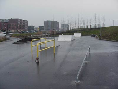 Goudvisplein