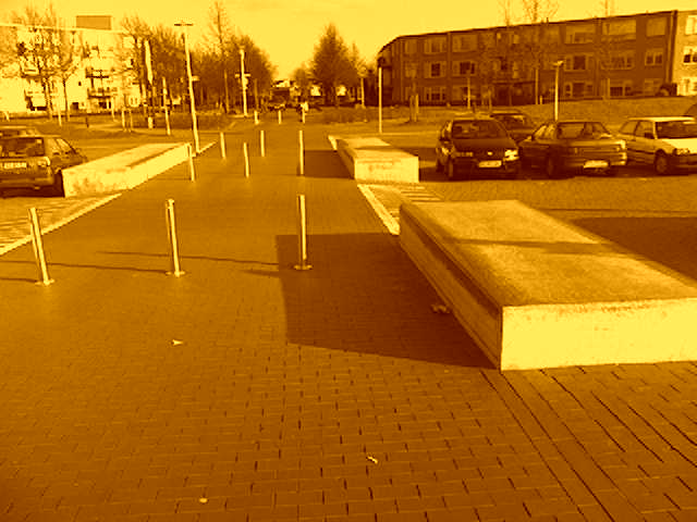 Bongerd, de