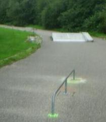 Hondsroos