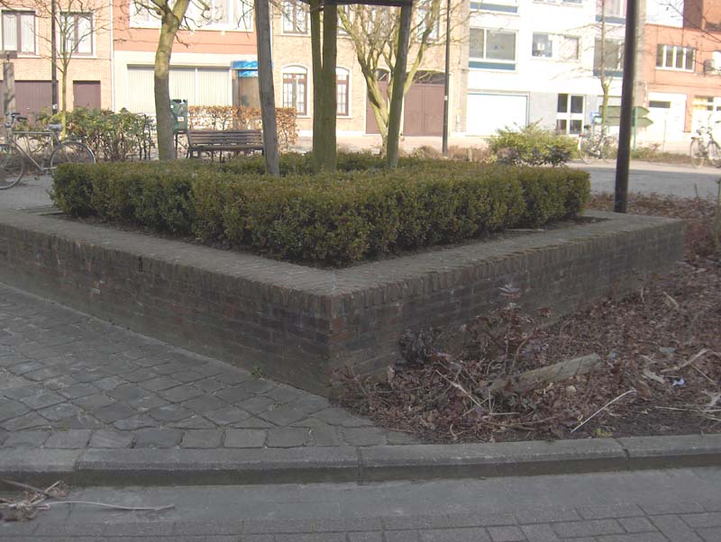 T Pleintje