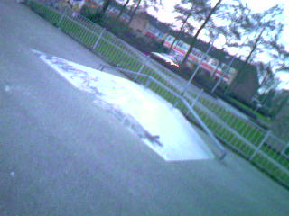 Skatepark Laan van Westroyen