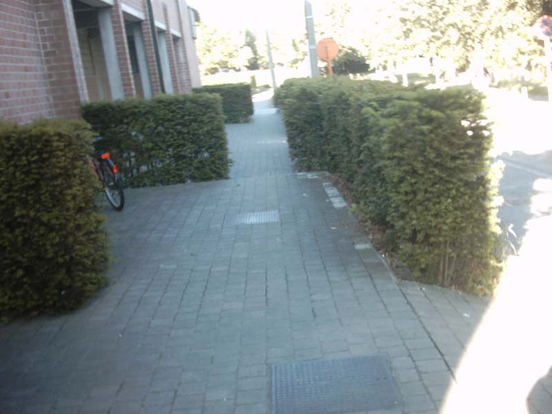 Girlsschool
