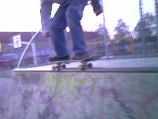 Skatepark Laan van Westroyen