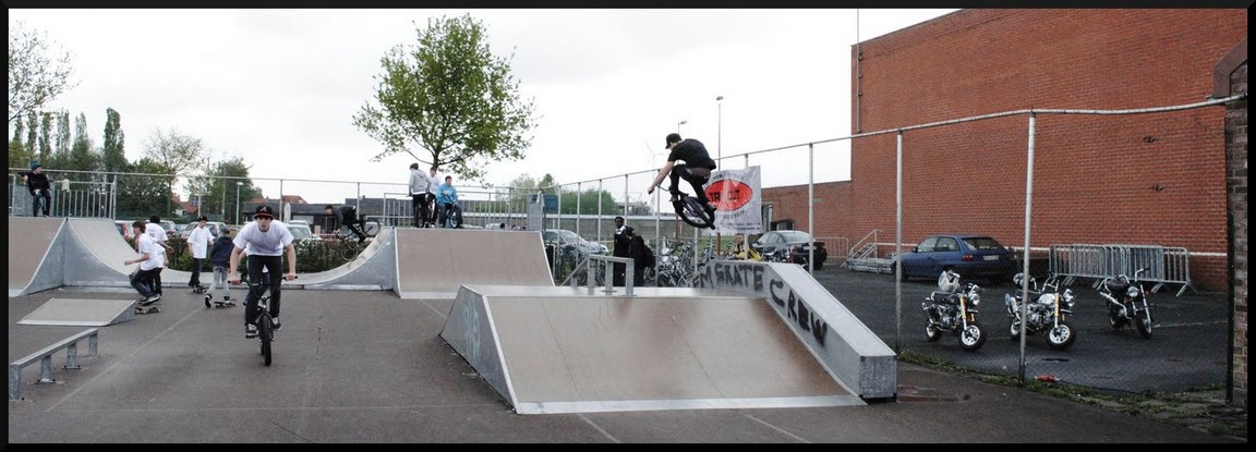 Oedelem Skatepark 